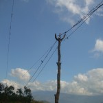 Power lines in Calabasse